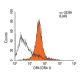 DR4 Antibody (DR4.1) - Flow Cytometry - Image 11524