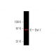 Dvl-1/Dishevelled 1/DVL1 Antibody (3F12) - Western Blotting - Image 378856