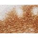 E-FABP Antibody (D-12) - Immunohistochemistry - Image 411599