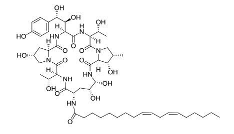 Echinocandin B | CAS 54651-05-7 | SCBT - Santa Cruz Biotechnology