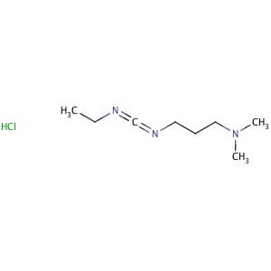 R様用 EDC hydrochloride | CAS 25952-53-8 | SCBT - Santa Cruz Biotechnology