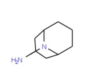 endo-9-Methyl-9-azabicyclo[3.3.1]nonan-3-amine ( Granisetron Impurity E) (CAS 76272-56-5) - chemical structure image