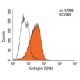 Endoglin/CD105 Antibody (SN6) - Flow Cytometry - Image 14472