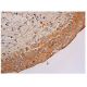 Endophilin B2 Antibody (A-12) - Immunohistochemistry - Image 350523 