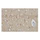 Endophilin I Antibody (4D12) - Immunohistochemistry - Image 64927
