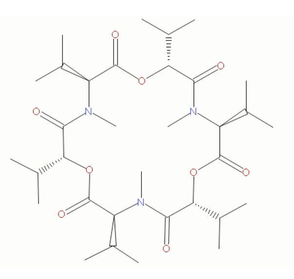 Enniatin B CAS 917135 SCBT Santa Cruz Biotechnology