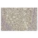 EPSTI1 Antibody (ZZ4) - Immunohistochemistry - Image 36110 