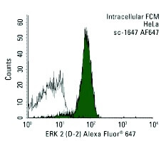 erk-2-antibody-d-2-flow-