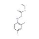 Ethyl [(4-iodo-2-methylphenyl)amino]acetate - chemical structure image