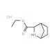 Ethyl (1R,3S,4S)-2-azabicyclo[2.2.1]heptane-3-carboxylate hydrochloride - chemical structure image