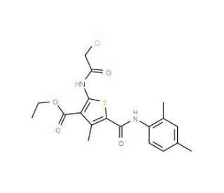 ethyl 2-[(chloroacetyl)amino]-5-{[(2,4-dimethylphenyl)amino]carbonyl}-4-methylthiophene-3-carboxylate - chemical structure im