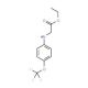 Ethyl 2-[4-(trifluoromethoxy)anilino]acetate (CAS 306935-79-5) - chemical structure image
