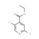 Ethyl 2,5-dichloroisonicotinate (CAS 603122-76-5) - chemical structure image