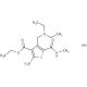 ethyl 2-amino-4-[(diethylamino)methyl]-5-[(methylamino)carbonyl]thiophene-3-carboxylate hydrobromide - chemical structure ima