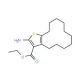 Ethyl 2-amino-4,5,6,7,8,9,10,11,12,13-decahydrocyclododeca[b]thiophene-3-carboxylate - chemical structure image