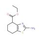 Ethyl 2-amino-4,5,6,7-tetrahydrobenzothiazole-4-carboxylate (CAS 76263-11-1) - chemical structure image