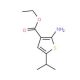 Ethyl 2-amino-5-isopropylthiophene-3-carboxylate - chemical structure image