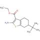 Ethyl 2-amino-6-tert-butyl-4,5,6,7-tetrahydro-1-benzothiophene-3-carboxylate - chemical structure image