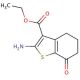 Ethyl 2-amino-7-oxo-4,5,6,7-tetrahydro-1-benzothiophene-3-carboxylate - chemical structure image