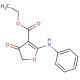 Ethyl 2-anilino-4-oxo-4,5-dihydro-3-furancarboxylate (CAS 58337-16-9) - chemical structure image
