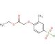 Ethyl [2-Methyl-3-(chlorosulfonyl)phenoxy]acetate (CAS 91427-62-2) - chemical structure image