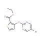Ethyl 3-[(5-bromo-2-pyrimidinyl)oxy]-2-thiophenecarboxylate - chemical structure image