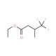 Ethyl 3-methyl-4,4,4-trifluorobutyrate (CAS 6975-13-9) - chemical structure image