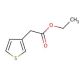 Ethyl 3-thiopheneacetate (CAS 37784-63-7) - chemical structure image