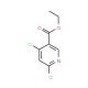 Ethyl 4,6-dichloronicotinate (CAS 40296-46-6) - chemical structure image