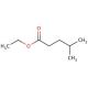 Ethyl 4-methylvalerate (CAS 25415-67-2) - chemical structure image