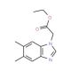 Ethyl 5,6-dimethyl-1H-benzimidazole-1-acetate (CAS 199189-67-8) - chemical structure image