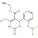ethyl 6-(chloromethyl)-4-[2-(difluoromethoxy)phenyl]-2-oxo-1,2,3,4-tetrahydropyrimidine-5-carboxylate - chemical structure im