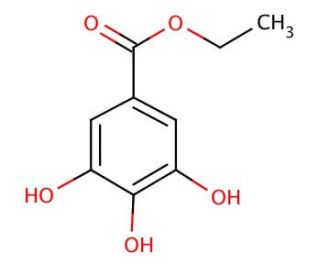 Ethyl gallate CAS 831618 SCBT Santa Cruz Biotechnology