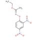 Ethyl N-(2,4-dinitrophenoxy)acetimidate (CAS 54322-32-6) - chemical structure image