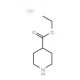 Ethyl piperidine-4-carboxylate, HCl (CAS 147636-76-8) - chemical structure image
