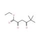 Ethyl trimethylacetopyruvate (CAS 13395-36-3) - chemical structure image