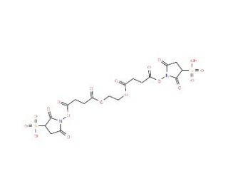 Ethylene glycolbis(sulphosuccinimidylsuccinate) - chemical structure image