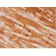 EVC Antibody (C-6) - Immunohistochemistry - Image 293486 