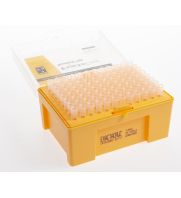 ExactaCruz&reg; Pipette Tips in Sterile Rack, 1-300 &mu;l, pack. Neat arrangement allows easy access to individual 1-300 &mu;l pipet