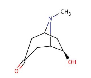 exo-6-Hydroxytropinone (CAS 5932-53-6) - chemical structure image