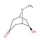 exo-6-Hydroxytropinone (CAS 5932-53-6) - chemical structure image