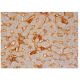 Factor XI Antibody (G-2) - Immunohistochemistry - Image 350213 