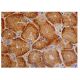 FANK1 Antibody (F-5) - Immunohistochemistry - Image 346430 