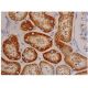 FANK1 Antibody (F-5) - Immunohistochemistry - Image 346431