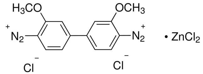 Fast Blue B Salt | CAS 14263-94-6 | SCBT - Santa Cruz Biotechnology