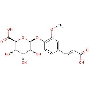 Ferulic Acid 4 O B D Glucuronide Cas 24 6 Scbt Santa Cruz Biotechnology