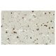 FGF-12 Antibody (ZA-12) - Immunohistochemistry - Image 35943