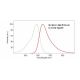Fluorescein 5-Maleimide: sc-215041