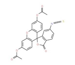 Fluorescein diacetate 6-isothiocyanate (CAS 890090-49-0) - chemical structure image