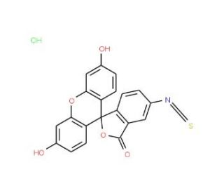 Fluorescein isothiocyanate I hydrochloride (CAS 63469-13-6) - chemical structure image